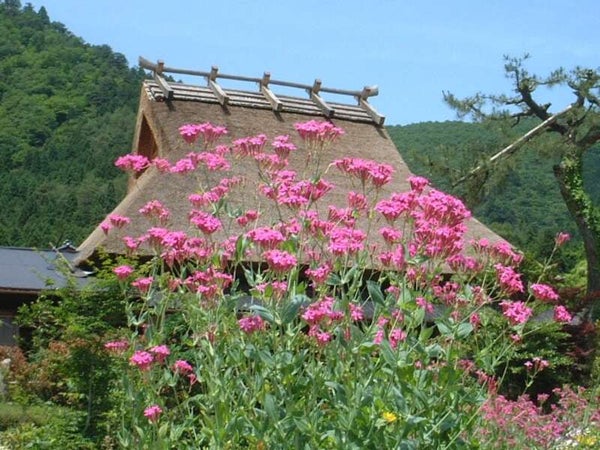 【奈良県内発】 「丹波篠山国際博 日本の美しい農村、未来へ」 篠山城大書院プロジェクションマッピングと丹波篠山郷土料理「牡丹鍋」 日帰り3